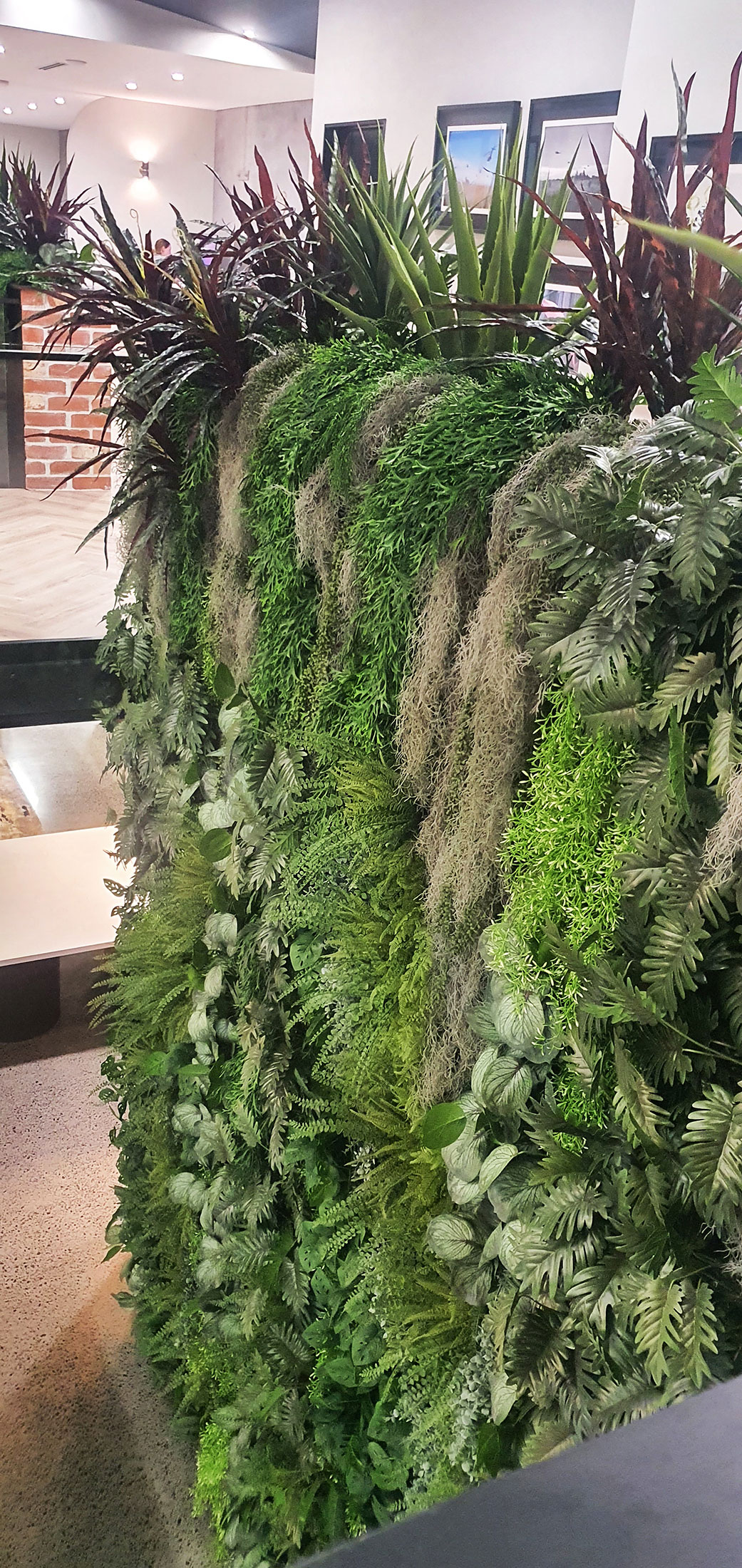 a wild green foyer feature with plants cascading from planter-box above. 