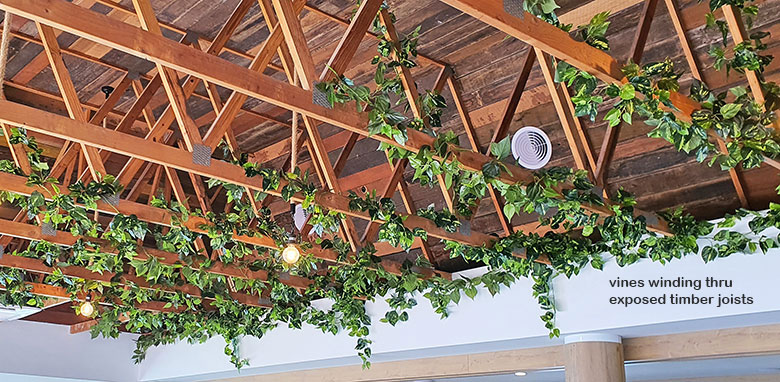 Ceiling joists softened by climbing vines