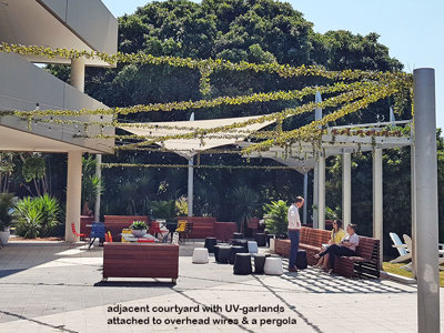 Full-Sun artificial Vines in exposed office complex courtyard...