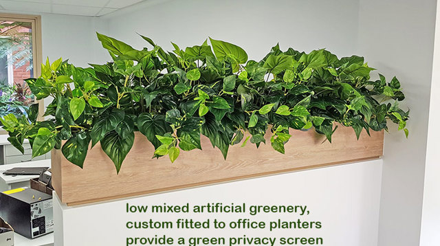 Small privacy planters in office...