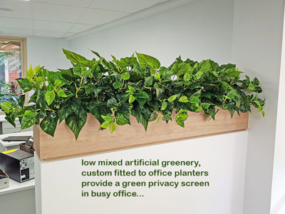 Small privacy planters in office...