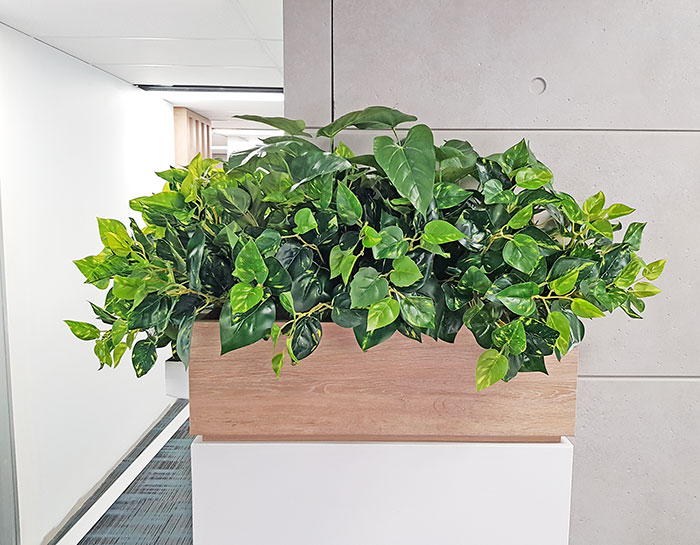 Small privacy planters in office... image 5
