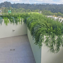UV-Trailer: Staghorn Fern 70cm - artificial plants, flowers & trees - image 9