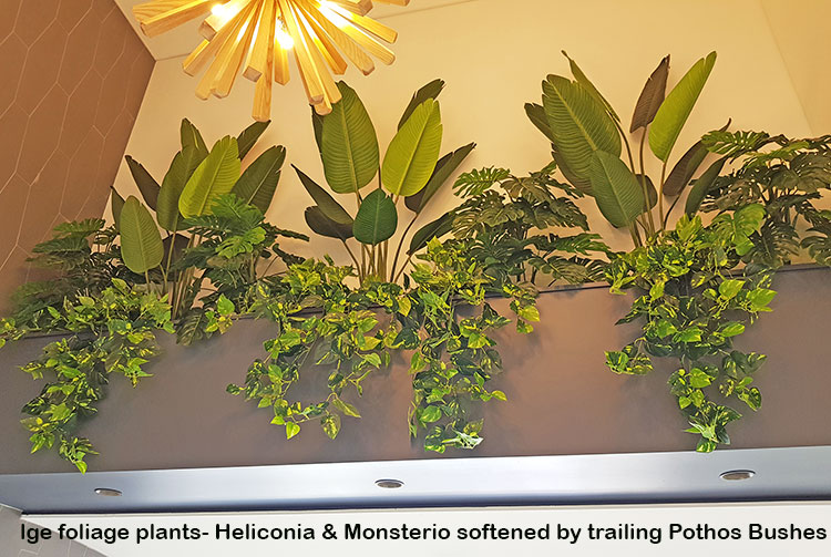 Retro-design Office planters get matching plants image 2